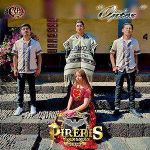 Caballituru Jandukutini