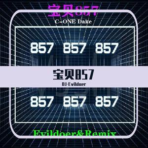 C-ONE Dark-宝贝 857 (Evildoer Remix)（Feat.江小白）