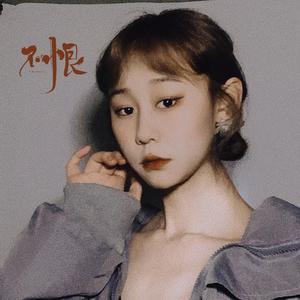 不恨 (DJ沈念版)