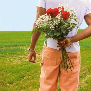 Ahorrando para un rosal