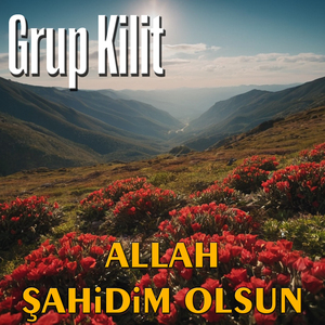 Allah Şahidim Olsun