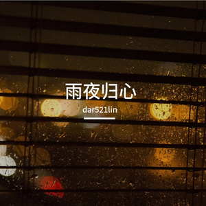 雨夜归心
