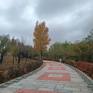 愿暴风雨来的再猛些