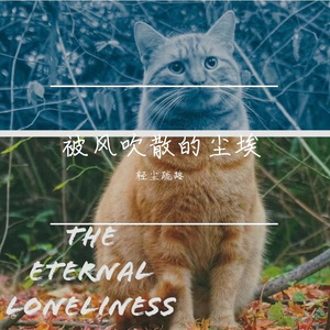 被风吹散的尘埃