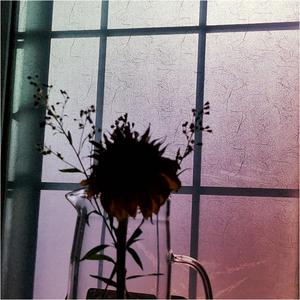 죄의식 (feat. ROSPHOR)