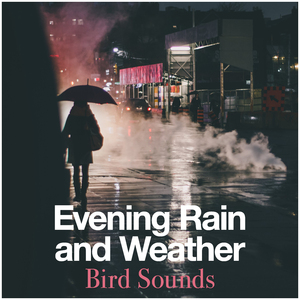 Rainfall Chirpers