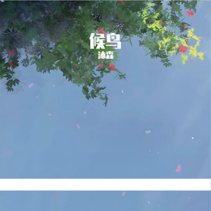 候鸟的黄昏线 伴奏