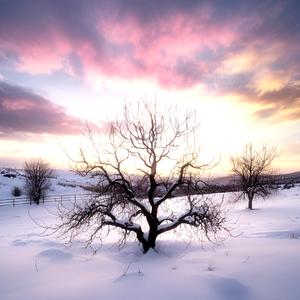 冬天，念旧的季节