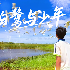 白鹭与少年