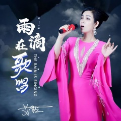 雨滴在歌唱 (DJ小鹏版)