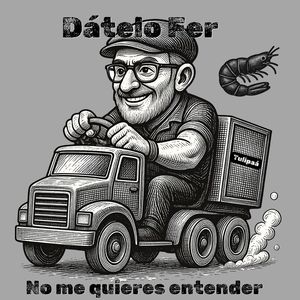 No Me Quieres Entender