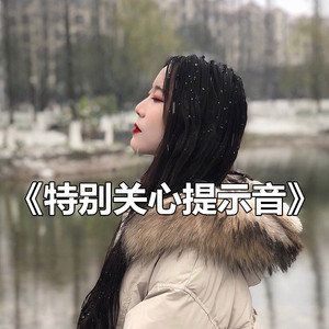 浪子楚阳-特别关心提示音 - 诗人凉（诗人凉 Remix）