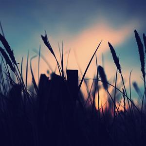 空山听雨 陶笛静心