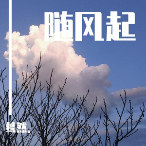 随风起