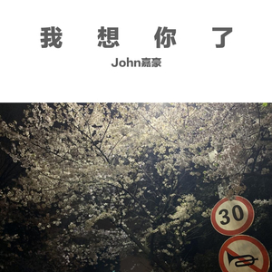 我想你了（prod.by #Rye）