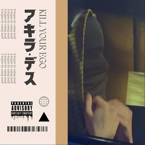 Falling Thru the Earth