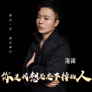 你是我想忘忘不掉的人 (0.8降速版)