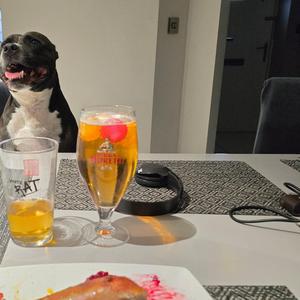 The letters i never sent