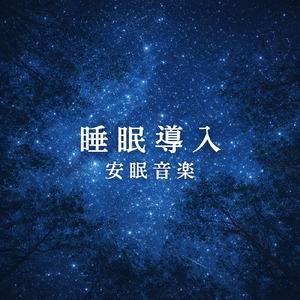 冬の寒い夜に寝れる音