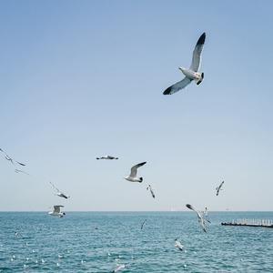 东三环的珠穆朗玛