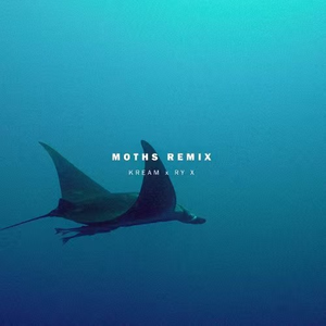 Moths (KREAM Remix)