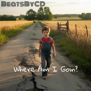 Picking At The Speed Of Life