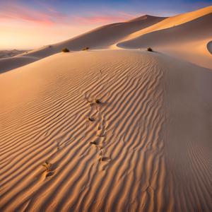 Aeroplan Ond of Millerca Bat Ti