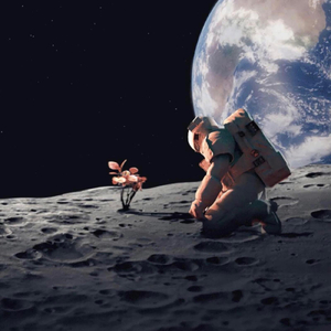 A letter to the world pt.2