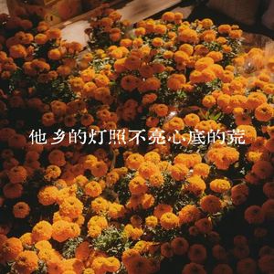 他乡的灯照不亮心底的荒