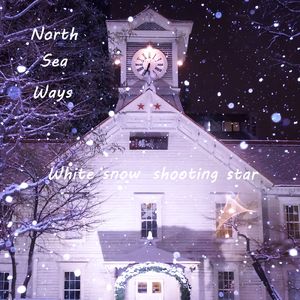 White snow shooting star