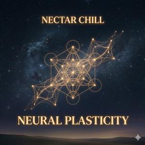 Neural Plasticity
