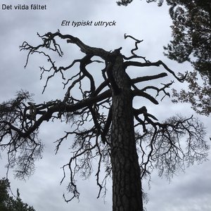 Utdrag ur stycken, ett