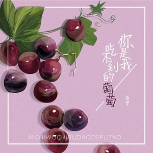 你是我吃不到的葡萄
