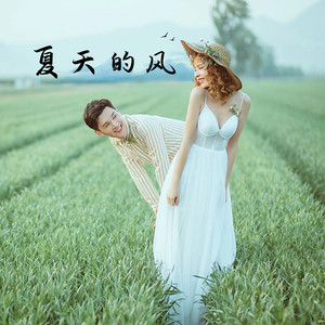夏天的风 (伤感版)