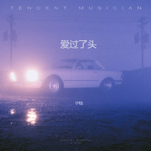 爱过了头 (伴奏)