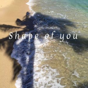 Shape of you (XFMUZ remix)