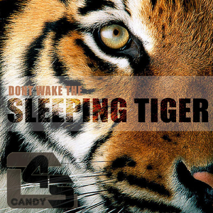 Sleeping Tiger
