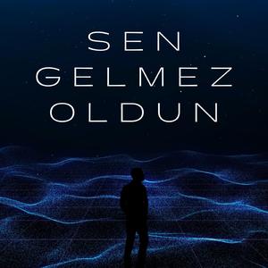 Sen Gelmez Oldun (feat. Hande Haz)