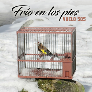 Frío en los Pies