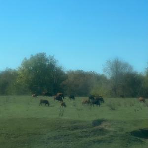 I Want Something More