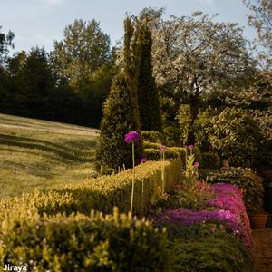 Canon ( Sped and Reverbed)