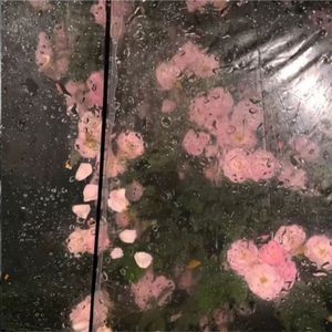 爱你(美好爱情就该这样贴近）