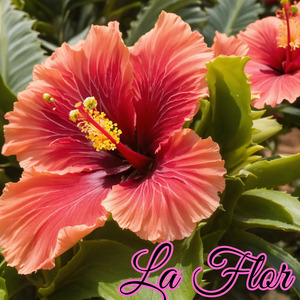 Flor