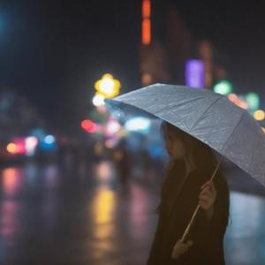 紫荆花盛开（深情版）