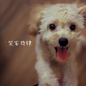 温馨之歌 (钢琴)