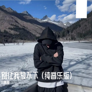 别让我放不下 (纯音乐版)