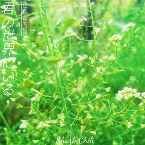 君の世界にいる(存在于你的世界)