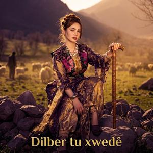 Dilber Tu Xwedê