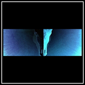 Flip Wahrscheinlichkeiten