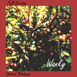 Wonky (Full Version)